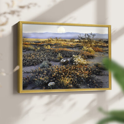 Winston Porter Anza Borrego Desert -Framed Print - Restickable