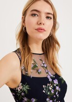 Thumbnail for your product : Phase Eight Lia Embroidered Dress