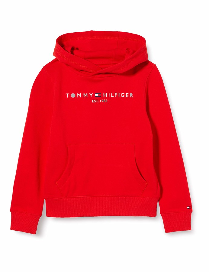boys tommy hilfiger hoodie