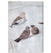 Thumbnail for your product : Oliver The Gal Artist Co. Olivia's Easel 'Birds in the Snow' Canvas Art