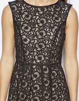 Thumbnail for your product : Oasis Floral Organza Lace Skater Dress