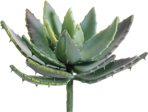 Allstate Soft Touch Green & Mauve Spiky Aloe Pick