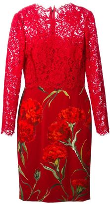 Dolce & Gabbana lace carnation print dress