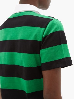MSGM Striped Tie-front Cotton-jersey Shirt Dress - Black Green