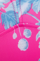 Thumbnail for your product : Carolina Herrera + Rose Cumming Printed Swimsuit