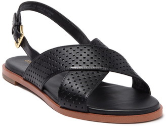 fernanda grand flat sandal