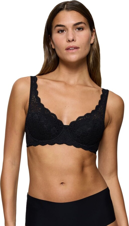 Triumph Amourette Whp