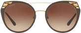 Thumbnail for your product : Bvlgari Bv6095 53 Brown Cat Sunglasses