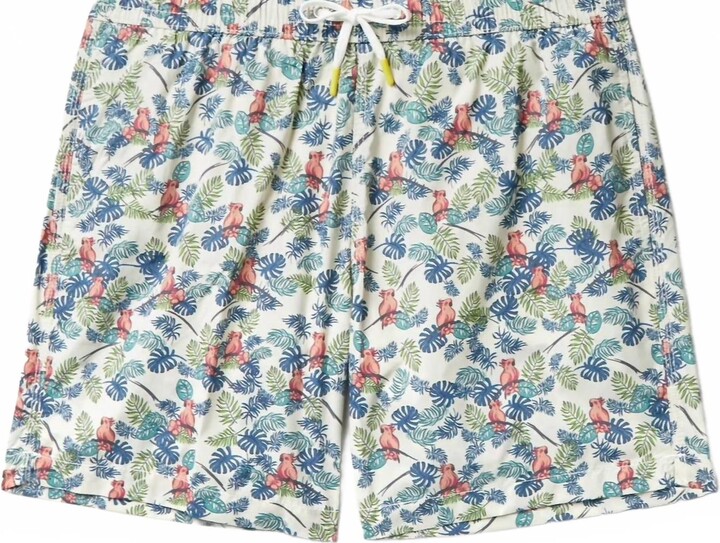 Hartford Men's Parrot Print Swim Short In White Multi