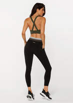 Thumbnail for your product : Sophistication Aloe Sports Bra
