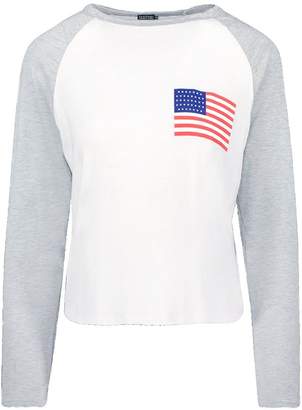 boohoo American Flag Raglan Printed T-Shirt