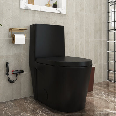 TCYO 1-piece 1.1/1.6 GPF Dual Flush Elongated Toilet in Matte Black Seat Included