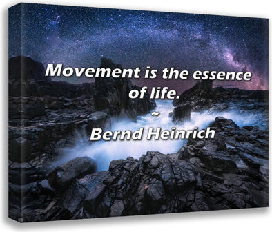 Latitude Run Artsy Quote "Movement is the essence of life." By Bernd Heinrich Gallery Wrapped Canvas