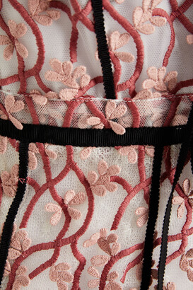 Giambattista Valli Lace-trimmed embroidered tulle midi dress