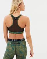 Thumbnail for your product : Amity Sports Bra