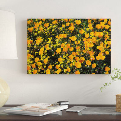 'Field of California Poppies and Canterbury Bells Wildflowers, Diamond Valley Lake, California, USA V' Photographic Print on Canvas