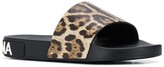 Thumbnail for your product : Dolce & Gabbana Leopard Print Slides