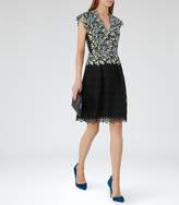 Thumbnail for your product : Reiss Idie Lace And Embroidery Dress