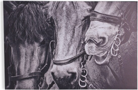 TJMAXX 30X30 Framed Stallion Art On Canvas Gallery Wrapped Wall Art