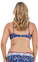 Thumbnail for your product : Sunseeker Crusade DD/E Cup Bralette