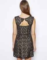 Thumbnail for your product : Oasis Floral Organza Lace Skater Dress
