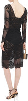 Thumbnail for your product : Jonathan Simkhai Scalloped Guipure And Corded Lace Dress