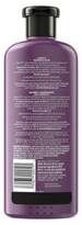 Thumbnail for your product : Herbal Essences Bio:Renew Naked Moisture Rosemary & Herbs Conditioner - 13.5 fl oz