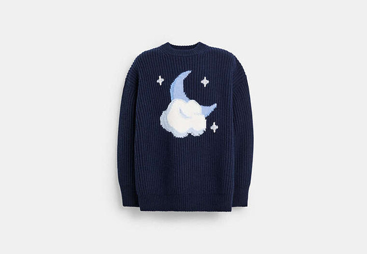 Jin Sweater Jin Blue Whale Sweater Coach Chunky Graphic