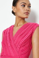 Thumbnail for your product : Coast Lace Frill Hem Wrap Dress