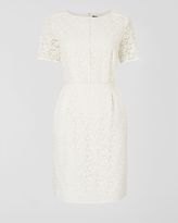 Thumbnail for your product : Jaeger Binded Lace Dress