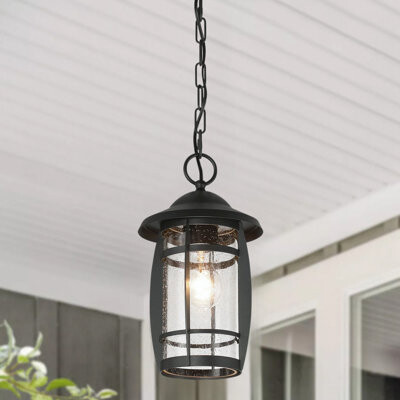 Winston Porter Nerota 1 - Light Outdoor Hanging Lantern Outdoor Chandelier