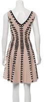 Thumbnail for your product : Alexander McQueen Embroidered A-Line Dress
