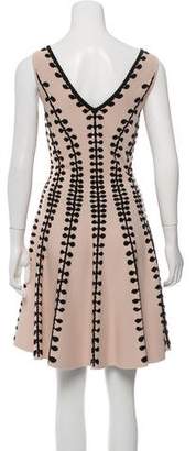 Alexander McQueen Embroidered A-Line Dress