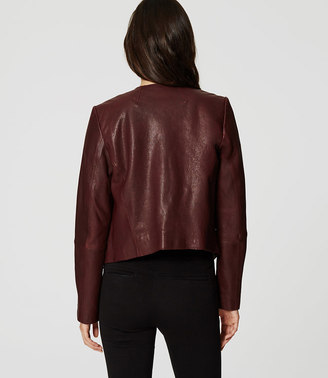 LOFT Petite Collarless Leather Jacket