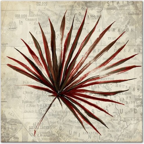 Fan Palm 16" x 16" Canvas Wall Art By Designs Direct