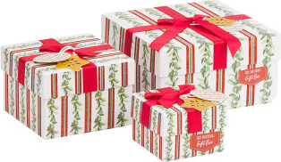 TJMAXX Set Of 3 Holiday Holly Whispers Gift Boxes