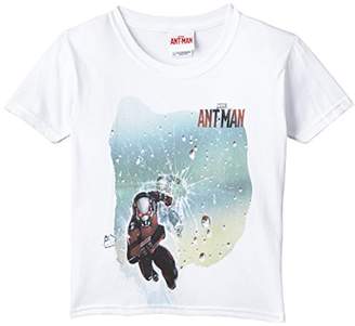 Marvel Boy's Ant Man Shatter Short Sleeve T-Shirt,(Manufacturer Size:7-8 Years)