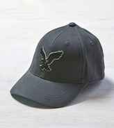 Thumbnail for your product : American Eagle Signature Fitted Baseball Cap