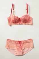 Thumbnail for your product : Elle Macpherson Intimates Fliora Hipsters