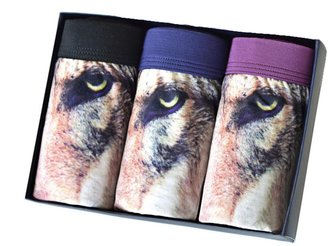 SunRise Mens Sexy 3D Wolf Owl Bulge Animal Pouch Boxer Briefs Underwear (XL(26-38), )