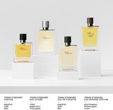 Thumbnail for your product : Hermes Terre d'Hermès Eau Givrée Eau de Parfum