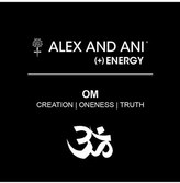 Thumbnail for your product : Alex and Ani 'Om' Wire Bangle