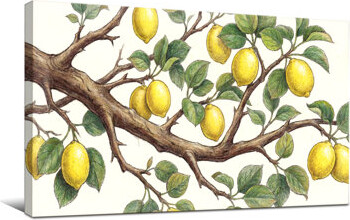 Red Barrel Studio Plants &Flowers Lemon Tree Branch With Green Leaves