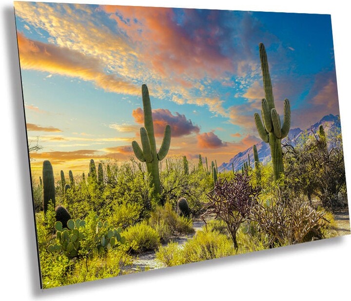 Etsy Cactus Kingdom Giant Sabino Canyon Wall Art Print Tucson Arizona Desert Mountain Colorful Sky Aluminum/Metal/Canvas Home Decor