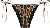 Thumbnail for your product : Dolce & Gabbana Leopard-Print Bikini Bottoms