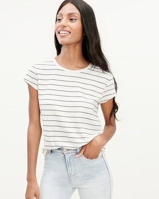 splendid striped top