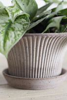 Thumbnail for your product : terrain Bergs Fluted Pot + Saucer Set