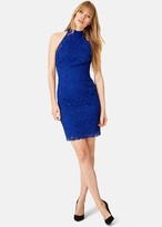 Thumbnail for your product : Phase Eight Edolie Lace Dress