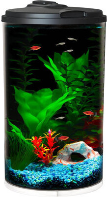 Latitude Run Plastic 6-Gallon Aquaview 360 Aquarium Kit For Tropical Fish Betta Fish With LED Lighting And Power Filter Clear 4-Piece Set