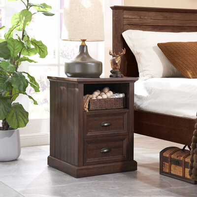 Mykhailo 2 Drawer Dresser for Bedroom, Nightstand with Charging Station, End Table w/Open Shelf, Side Table for Living Room